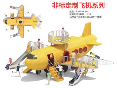 西藏非標定制飛機系列1